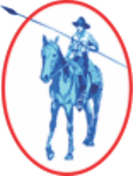 Picador